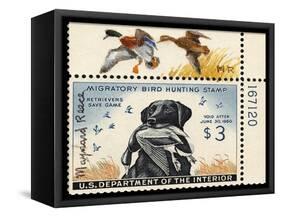 National Postal Museum: 3 Dollar Duck Stamp Remarque-null-Framed Stretched Canvas