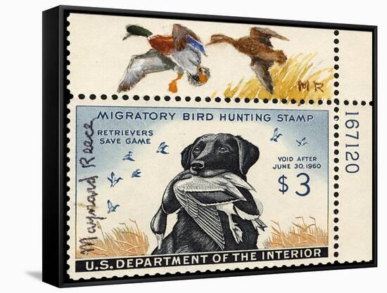 National Postal Museum: 3 Dollar Duck Stamp Remarque-null-Framed Stretched Canvas