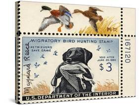 National Postal Museum: 3 Dollar Duck Stamp Remarque-null-Stretched Canvas