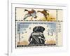 National Postal Museum: 3 Dollar Duck Stamp Remarque-null-Framed Art Print
