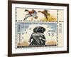 National Postal Museum: 3 Dollar Duck Stamp Remarque-null-Framed Art Print