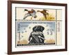 National Postal Museum: 3 Dollar Duck Stamp Remarque-null-Framed Art Print