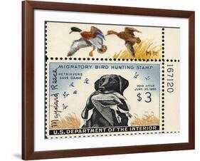 National Postal Museum: 3 Dollar Duck Stamp Remarque-null-Framed Art Print