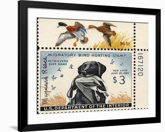 National Postal Museum: 3 Dollar Duck Stamp Remarque-null-Framed Art Print