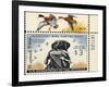 National Postal Museum: 3 Dollar Duck Stamp Remarque-null-Framed Art Print