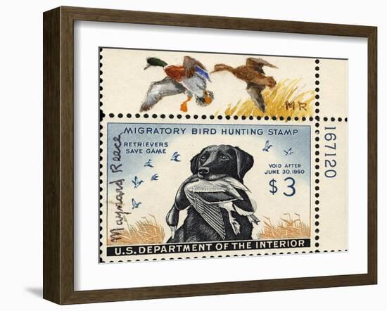 National Postal Museum: 3 Dollar Duck Stamp Remarque-null-Framed Art Print