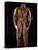 National Postal Museum: Amelia Earhart's Flight Suit-null-Stretched Canvas