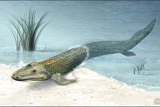 Tiktaalik Prehistoric Fish, Artwork-National Science Foundation-Photographic Print