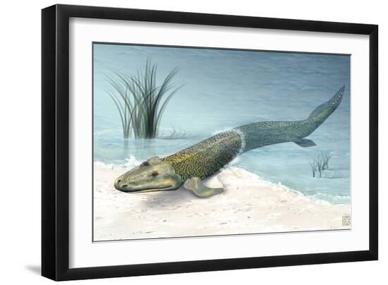 Photographic Print, , large