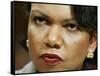 National Security Adviser Condoleezza Rice Testifies-null-Framed Stretched Canvas