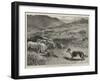 National Sheep-Dog Trials at Bala, North Wales, Penning the Sheep-Samuel Edmund Waller-Framed Giclee Print