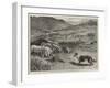 National Sheep-Dog Trials at Bala, North Wales, Penning the Sheep-Samuel Edmund Waller-Framed Giclee Print