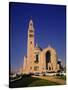 National Shrine of the Immaculate Conception Church-null-Stretched Canvas