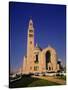 National Shrine of the Immaculate Conception Church-null-Stretched Canvas