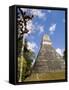 National Tree Called Kapok, Mayan Ruins, Tikal, Guatemala-Bill Bachmann-Framed Stretched Canvas