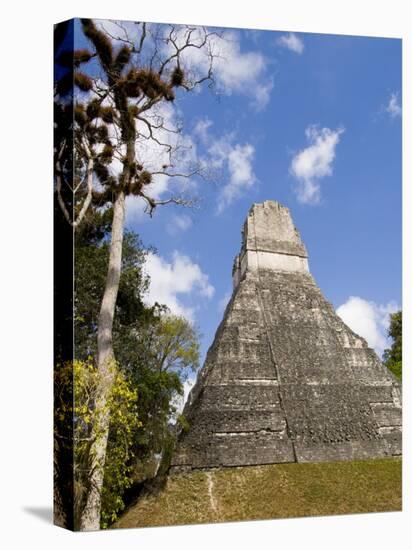 National Tree Called Kapok, Mayan Ruins, Tikal, Guatemala-Bill Bachmann-Stretched Canvas