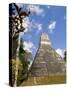 National Tree Called Kapok, Mayan Ruins, Tikal, Guatemala-Bill Bachmann-Stretched Canvas