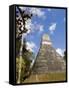 National Tree Called Kapok, Mayan Ruins, Tikal, Guatemala-Bill Bachmann-Framed Stretched Canvas