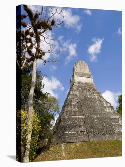National Tree Called Kapok, Mayan Ruins, Tikal, Guatemala-Bill Bachmann-Stretched Canvas