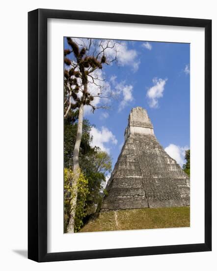 National Tree Called Kapok, Mayan Ruins, Tikal, Guatemala-Bill Bachmann-Framed Photographic Print