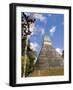 National Tree Called Kapok, Mayan Ruins, Tikal, Guatemala-Bill Bachmann-Framed Photographic Print