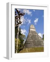 National Tree Called Kapok, Mayan Ruins, Tikal, Guatemala-Bill Bachmann-Framed Photographic Print