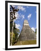 National Tree Called Kapok, Mayan Ruins, Tikal, Guatemala-Bill Bachmann-Framed Photographic Print