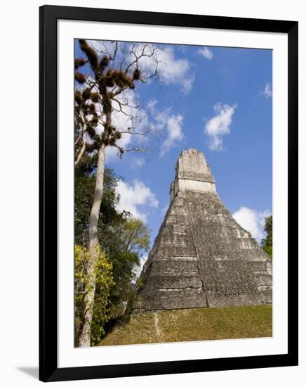 National Tree Called Kapok, Mayan Ruins, Tikal, Guatemala-Bill Bachmann-Framed Photographic Print