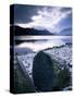 National Trust Centenary Stone, Derwent Water, Lake District, Cumbria, England-Neale Clarke-Stretched Canvas
