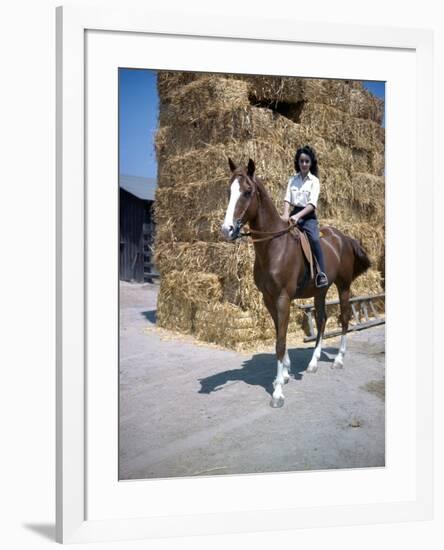 NATIONAL VELVET, 1944 directed by CLARENCE BROWN Elizabeth Taylor (photo)-null-Framed Photo