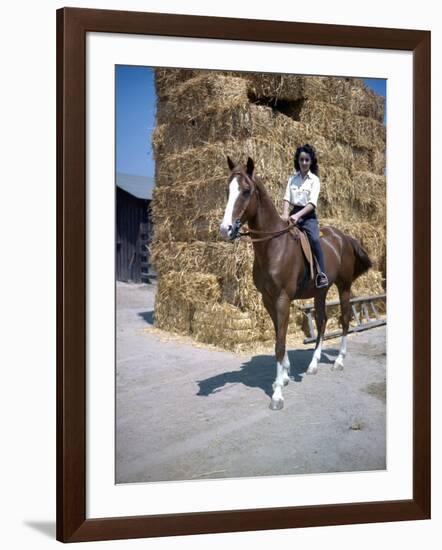 NATIONAL VELVET, 1944 directed by CLARENCE BROWN Elizabeth Taylor (photo)-null-Framed Photo