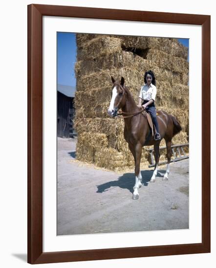 NATIONAL VELVET, 1944 directed by CLARENCE BROWN Elizabeth Taylor (photo)-null-Framed Photo