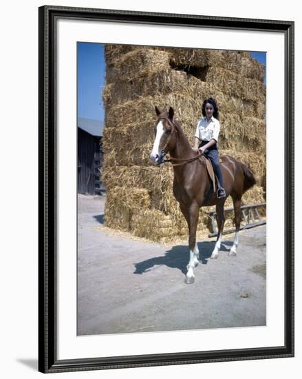 NATIONAL VELVET, 1944 directed by CLARENCE BROWN Elizabeth Taylor (photo)-null-Framed Photo