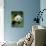 National Zoological Park: Giant Panda-null-Photographic Print displayed on a wall