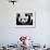 National Zoological Park: Giant Panda-null-Framed Photographic Print displayed on a wall