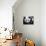 National Zoological Park: Giant Panda-null-Mounted Photographic Print displayed on a wall