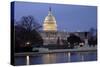 Nations Capitol Building-DavidPark-Stretched Canvas