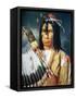 Native American Chief of the Cree People of Canada, 1848-Paul Kane-Framed Stretched Canvas