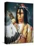 Native American Chief of the Cree People of Canada, 1848-Paul Kane-Stretched Canvas