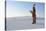 Native American in Full Regalia, White Sands National Monument, New Mexico, Usa Mr-Christian Heeb-Stretched Canvas