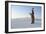 Native American in Full Regalia, White Sands National Monument, New Mexico, Usa Mr-Christian Heeb-Framed Photographic Print