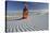 Native American in Full Regalia, White Sands National Monument, New Mexico, USA Mr-Alex Heeb-Stretched Canvas