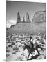 Native American Indian Boy Running His Horse Through Desert-Loomis Dean-Mounted Photographic Print