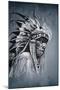 Native American Indian Head, Chief, Vintage Style-outsiderzone-Mounted Art Print