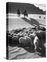 Native American Indians Herd Sheep-Loomis Dean-Stretched Canvas