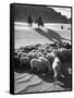 Native American Indians Herd Sheep-Loomis Dean-Framed Stretched Canvas