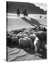 Native American Indians Herd Sheep-Loomis Dean-Stretched Canvas