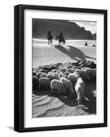 Native American Indians Herd Sheep-Loomis Dean-Framed Photographic Print