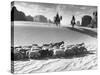 Native American Indians Herding their Sheep Through Desert-Loomis Dean-Stretched Canvas