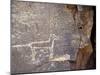 Native American Petroglyph of a Coyote or a Wolf Near Galisteo, New Mexico-null-Mounted Photographic Print